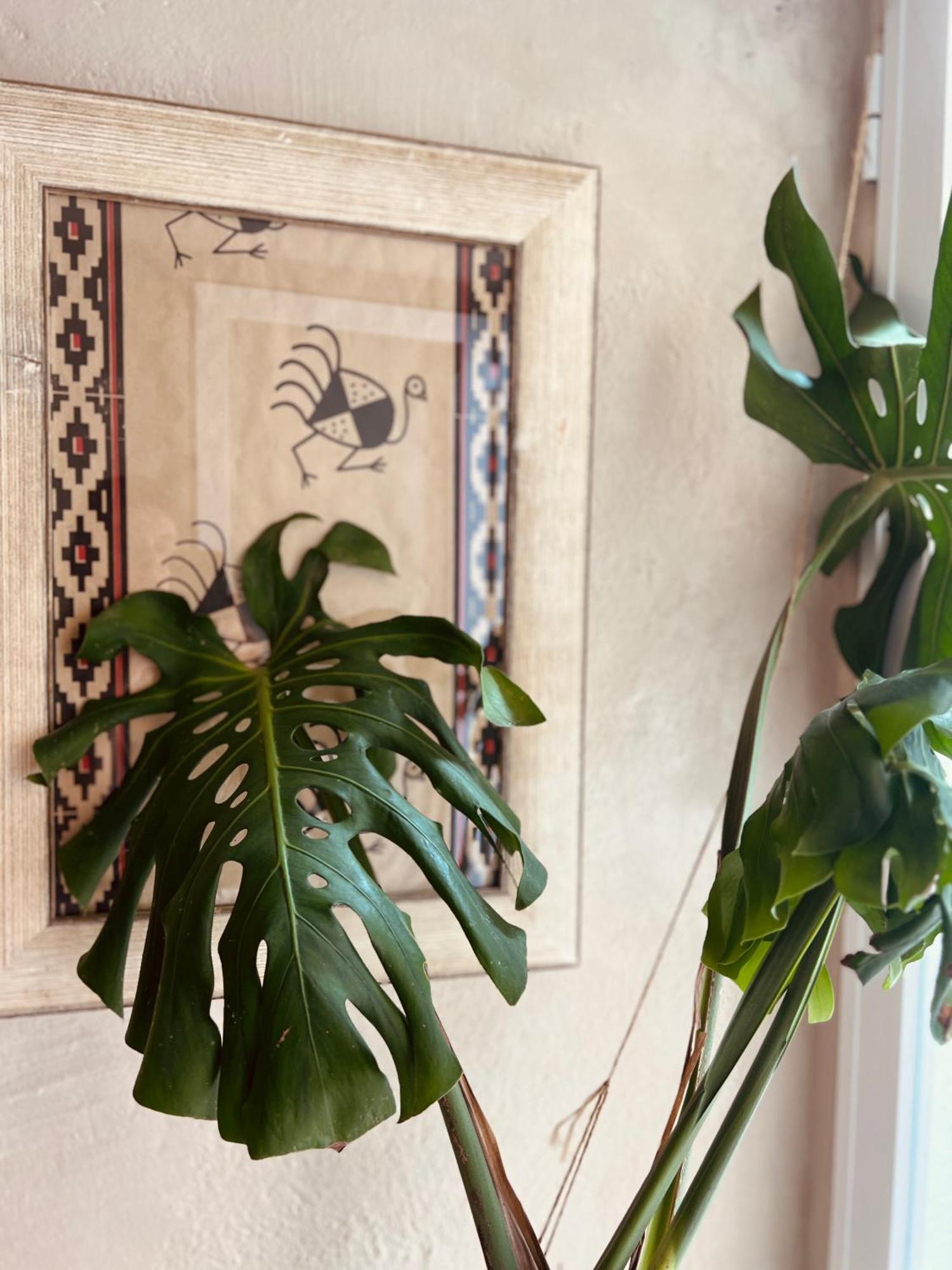 Eco - Corredera Appartement *