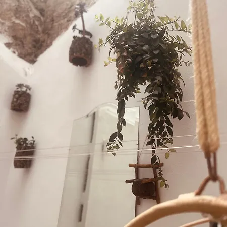 Studios Eco - Suites Corredera Vejer de la Frontera Extérieur photo